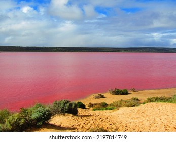 Hutt Lagoon In Western Australia