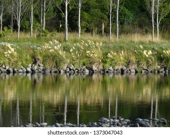 Hutt River At Upper Hutt 