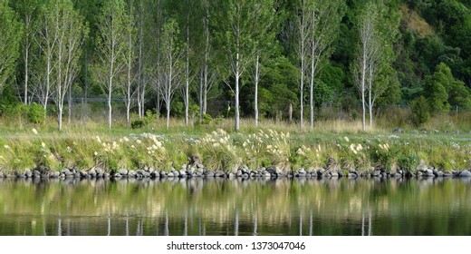 Hutt River At Upper Hutt 