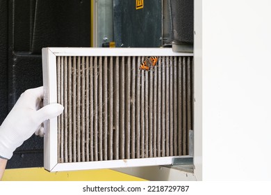 Hvac Filter Replacing. Replacing The Filter In The Central Ventilation System, Furnace. Replacing Dirty Air Filter For Home Central Air Conditioning System. Change Filter In Rotary Heat Exchanger