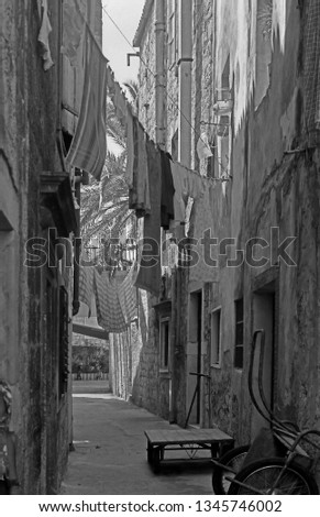 Similar – Foto Bild Waschtag Venedig Wäsche