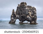 Hvitserkur (Troll of Northwest Iceland), basalt rock stack protruding from Hunafloi Bay, Iceland. 