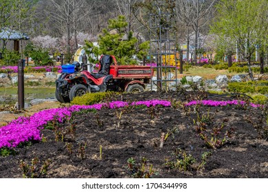 Hwanggan, South Korea; April 14, 2020: Red, Dirty Farm Utility Vehicle Parked Ibehind Flower Bed At No Gun Ri Peace Park On Sunny Spring Day.