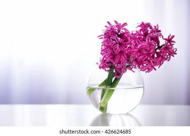 Hyacinth Flowers On Table In A Vase