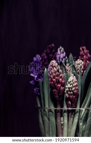 hyacinth flowers in a wase