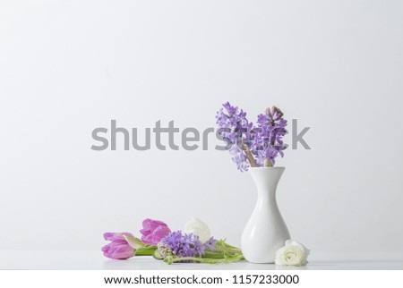 Similar – Cherry blossom branch with butterfly ornaments in glass jar