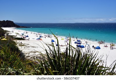 Hyams Beach is a seaside village in the Shoalhaven, on the shores of Jervis Bay with beautiful white sand. Big grass in the foreground. 
