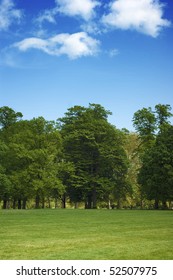 Hyde Park In London - Summer Time In The City