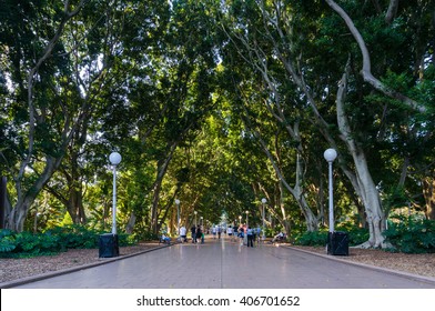 Hyde Park North Alley With People In The Distance