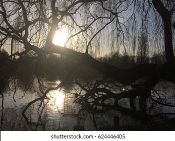 Hyde Park Sunset