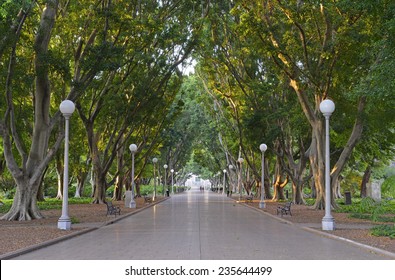 Hyde Park, Sydney Australia