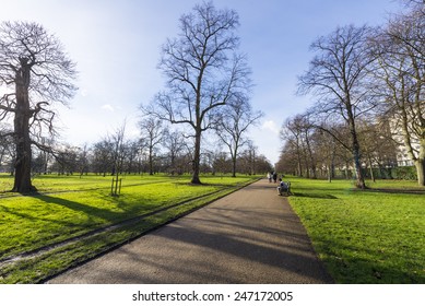 Hyde Park In Winter.