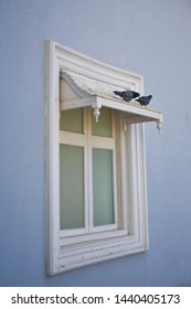 Hyderabad, India - January 2 2019: Pigeons On A Window Of The Falaknuma Palace