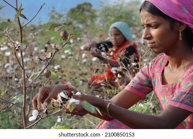 HYDERABAD, INDIA - Mar 02, 2017: Happy   Educated Farmers Of India