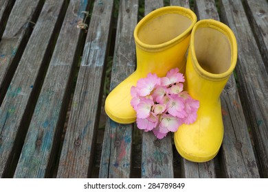 Hydrangea and boots