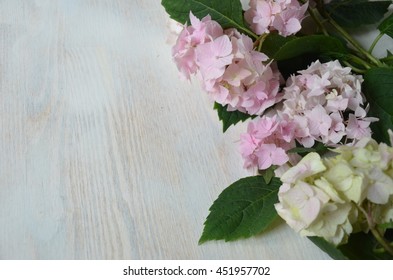 hydrangea flowers on a light table