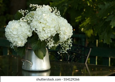 Hydrangea In Vase