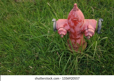 Hydrant ( 消防栓, صنبور , гидрант, Boca de aguas )  hiding in the grass