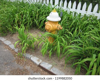 Hydrant Essex Ct