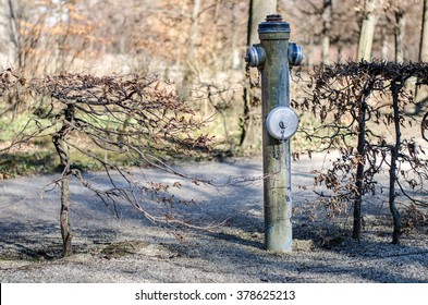Hydrant on the way