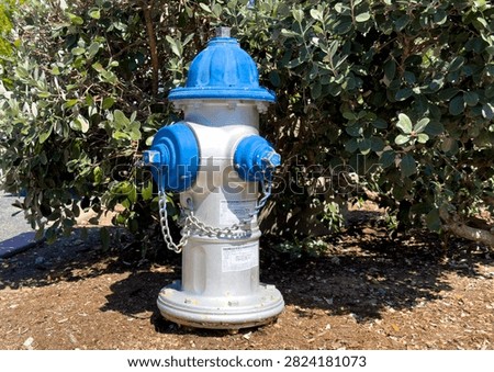 Hydrant Painted Blue And Silver Fire In Front Of Green Bush