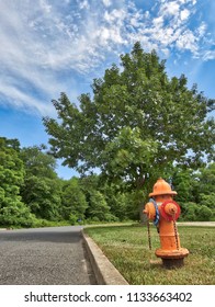 Hydrant In Summer’s Tinton Falls Near Garden State Parkway