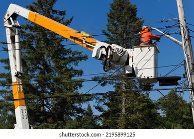 Hydro Worker On Bucket Lift At Hydro Pole Fixing A New Residential Electric Utlility Power Line