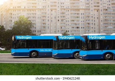 A Hydrogen Fuel Cell Buses Concept