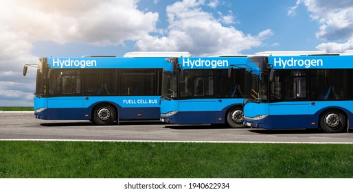 A Hydrogen Fuel Cell Buses Concept