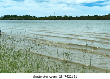 Hydrological modeling data documenting sequential ripple crests and wave trains moving rhythmically over the sediment-heavy shallow waters of the active river channel.