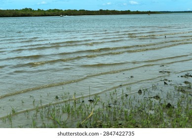 Hydrological modeling data documenting sequential tidal ripples and wave fronts moving over the shallow coastal slope and specialized halophytic grass zone.