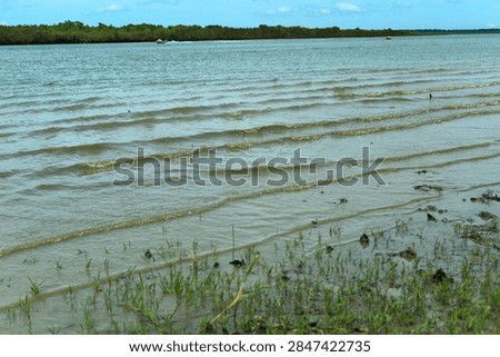 Hydrological modeling data documenting sequential tidal ripples and wave fronts moving over the shallow coastal slope and specialized halophytic grass zone.