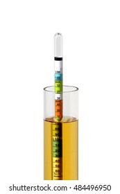 Hydrometer in Homebrew