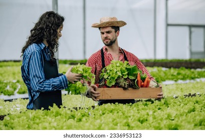 Hydroponic farm owner carefully selects quality veggies, monitoring growth, delivering routine evaluations. Efficiently organized operations in greenhouse tray, foster sustainable agricultural growth - Shutterstock ID 2336953123