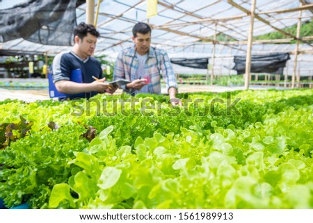 Hydroponic farm owner checking pH of water and temperature argricultural environment growing concept.