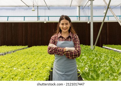 Hydroponic organic SME business farm owner. Asian woman farmer in agriculture industry. Hydroponic agricultural system, organic hydroponic vegetable garden at greenhouse.