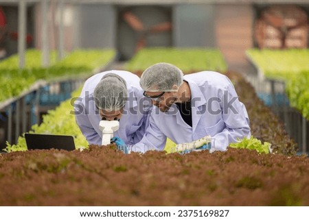 Hydroponic scientists and researchers do experiment using microscopes and magnifying glasses to analyze plant, greenhouse samples, utilizing biotechnology, biochemistry method for precise examination