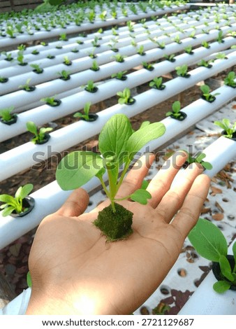 Hydroponics is a method of growing plants without using soil, instead relying on a nutrient-rich water solution to meet the plant's nutrient needs, allowing the plant roots to absorb nutrients directly from the water. This method allows plants to grow more efficiently, conserves water, and can be used in limited space because it doesn't require soil.
