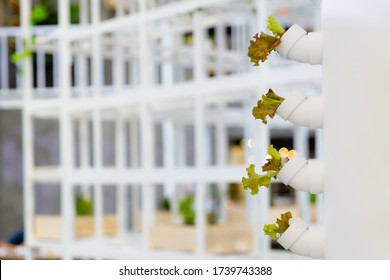 	
Hydroponics Vertical Farm In Building With High Technology Farming. Agricultural Greenhouse With Hydroponic Shelving System.