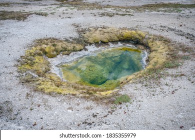 hydrothermal areas of biscuit basin in yellowstone national park in wyoming in the usa - Shutterstock ID 1835355979