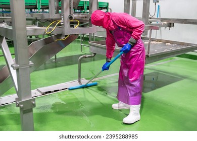 Hygiene officer cleaner in protective uniform cleaning floor of food industry. Cleaning services. - Powered by Shutterstock