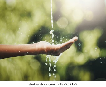 Hygiene, Washing And Saving Water With Hands Against A Green Nature Background. Closeup Of One Person Holding Out Their Palm To Save, Conserve And Refresh With Water In A Park, Garden Or Backyard