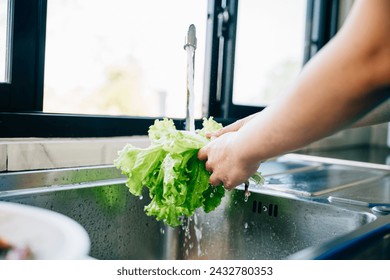 Hygienic food prep, Woman's hands washing fresh vegetables under running water in a modern kitchen sink for a vegan salad. Clean and fresh leafy greens for homemade healthy eating. - Powered by Shutterstock