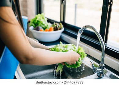 Hygienic food preparation, woman's hands wash various fresh vegetables under running water in a modern kitchen sink preparing a vegan salad. Clean and fresh leafy greens. - Powered by Shutterstock