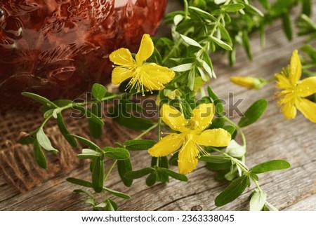 Hypericum flowers on a table with red St. John's wort oil in a glass jar