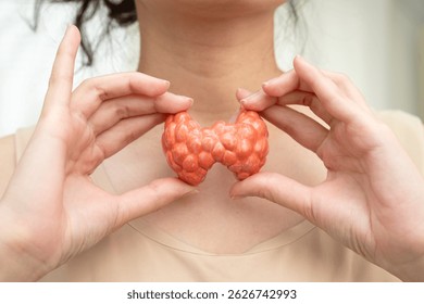 Hyperthyroidism, Overactive Thyroid, Thyroid Lymphoma, Asian woman with thyroid gland human anatomy model.