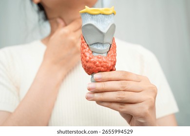 Hyperthyroidism, Overactive Thyroid, Thyroid Lymphoma, Asian woman with thyroid gland human anatomy model.