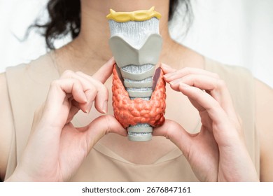 Hyperthyroidism, Overactive Thyroid, Thyroid Lymphoma, Asian woman with thyroid gland human anatomy model.