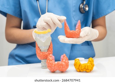 Hyperthyroidism, Overactive Thyroid, Thyroid Lymphoma, Asian doctor with thyroid gland human anatomy model in hospital.