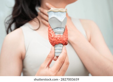 Hyperthyroidism, Overactive Thyroid, Thyroid Lymphoma, Asian woman with thyroid gland human anatomy model.